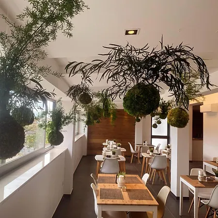 Moma Wellness &