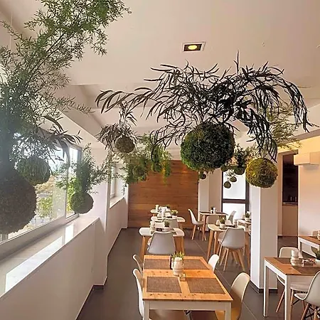 Moma Wellness & Lavello
